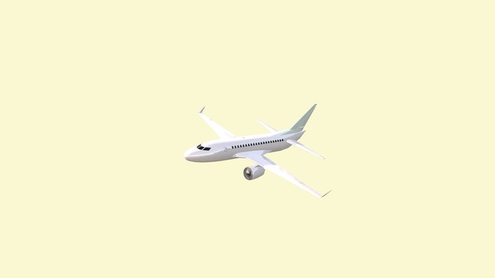 Airliner Aircraft