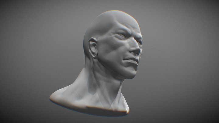 Male Head 3D Model