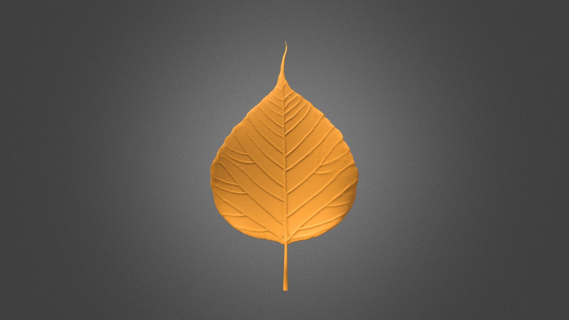 Bodhi leaves1