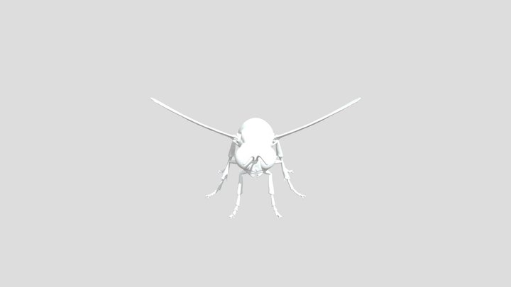 model 3D Model