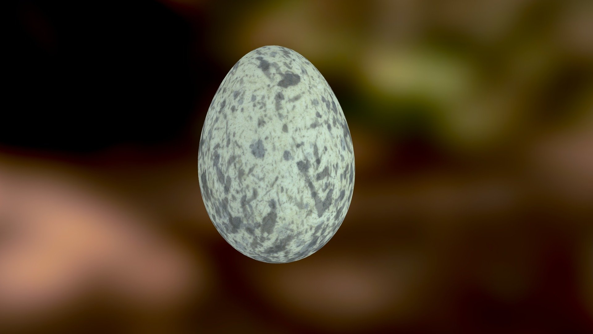 Bird egg #5