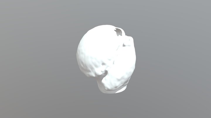 Úmero (tub) 3D Model