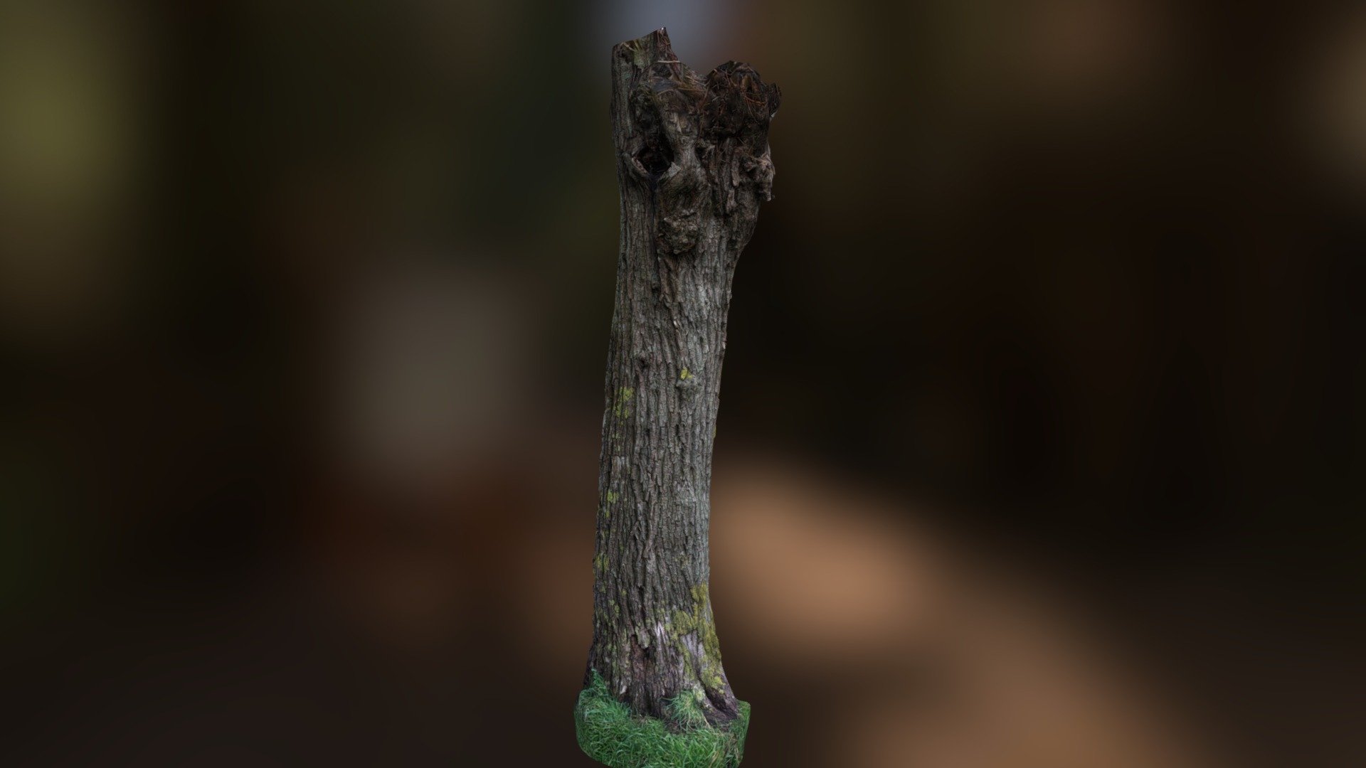 Willow Tree Free Model