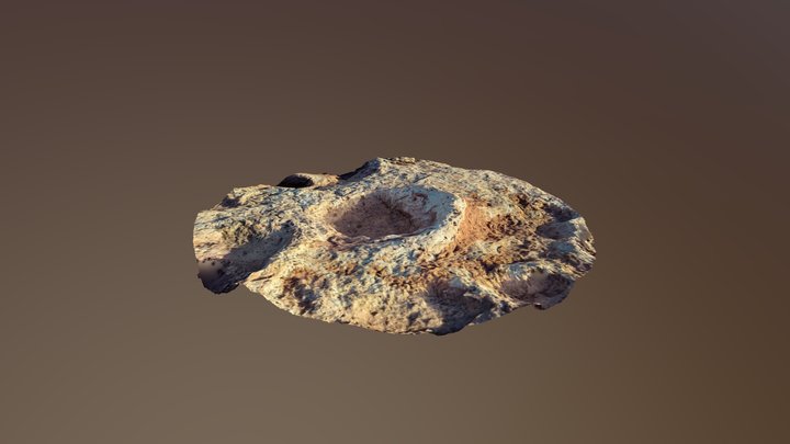Titanosaur Footprint - Neuquén, Argentina 3D Model