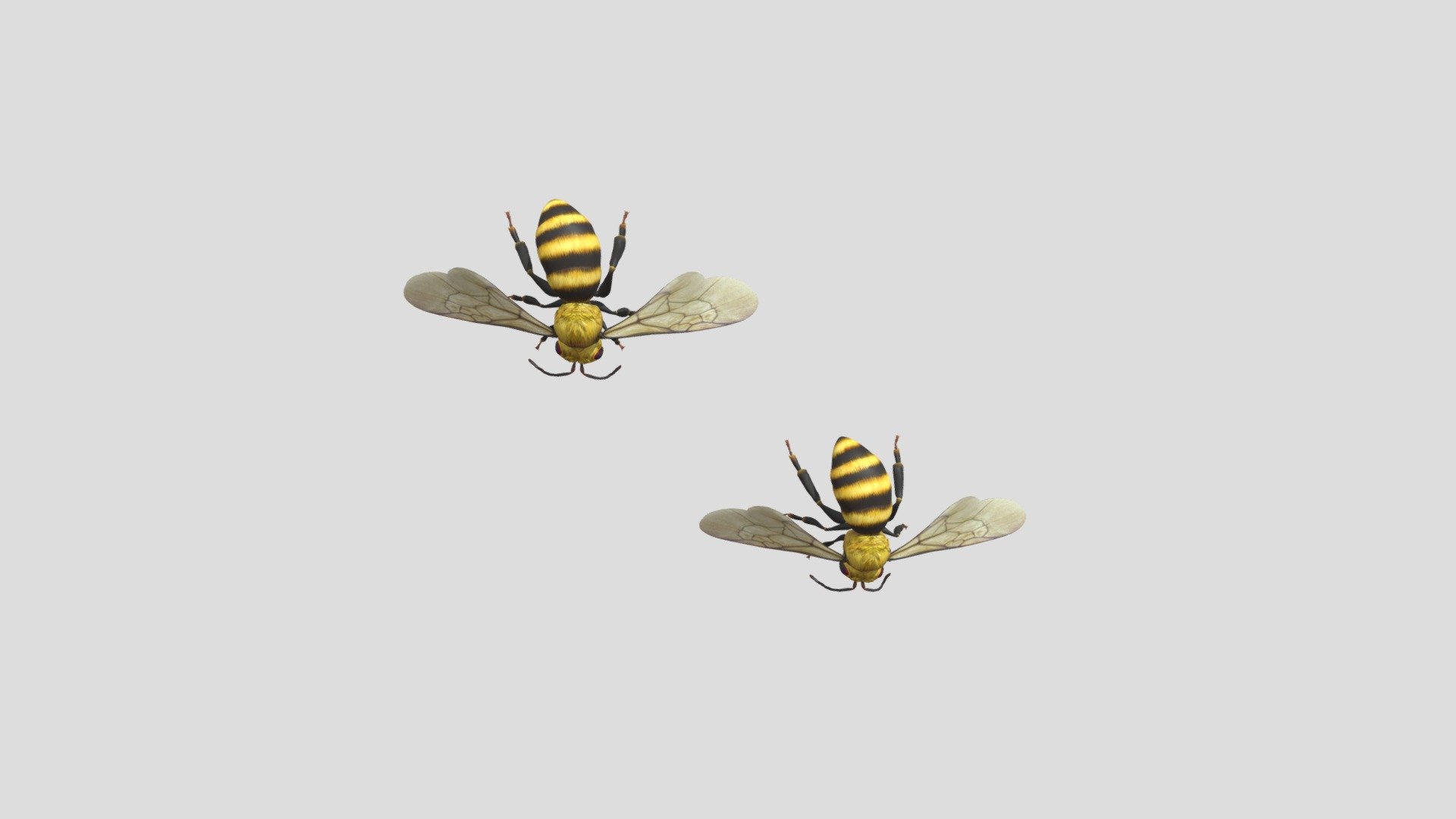 Bee