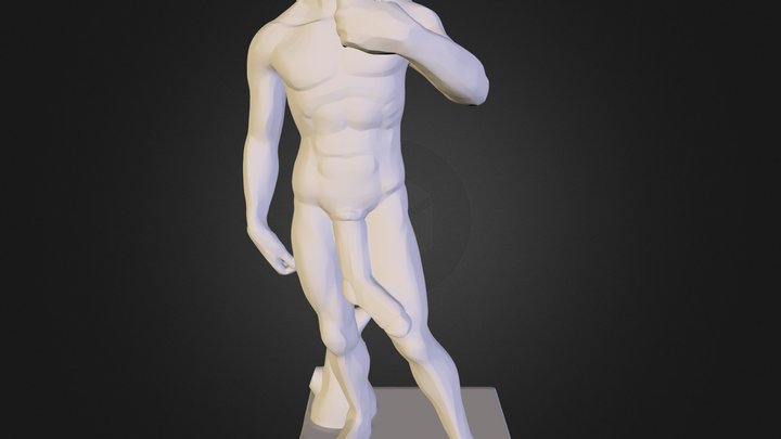 David of Michelangelo with a sock 3D Model