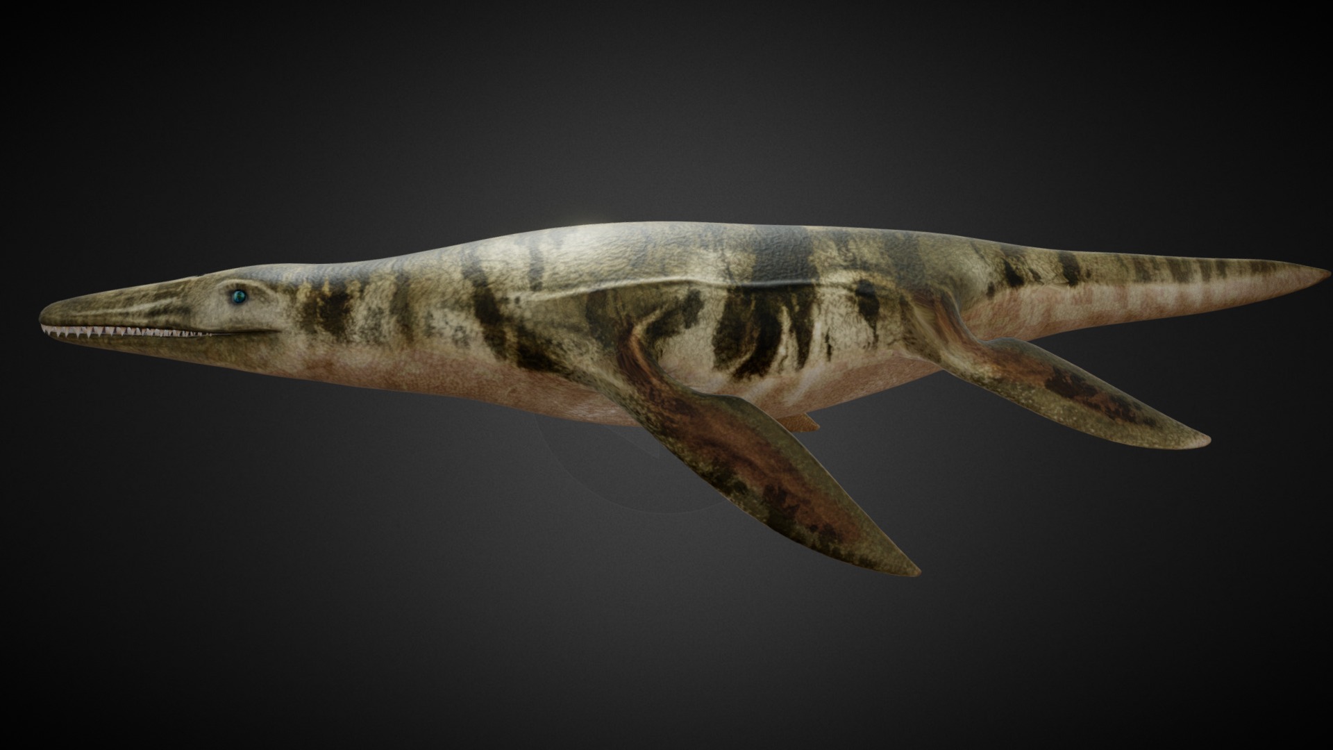 3D model Ocean Pliosaur Mosasaurus - This is a 3D model of the Ocean Pliosaur Mosasaurus. The 3D model is about a fish with a long tail.