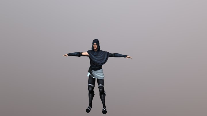 Assassin 3D Model