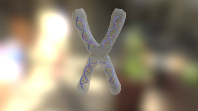 forksecondthird 3D Model
