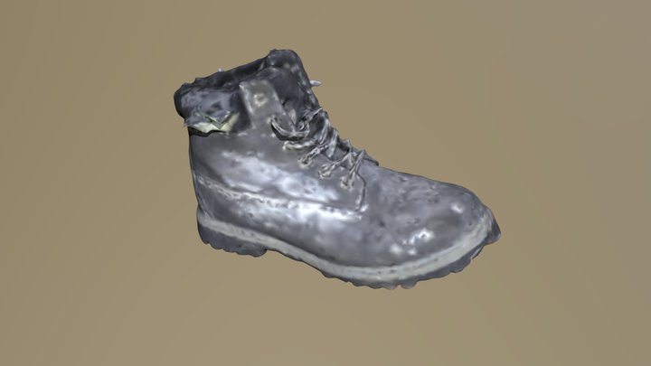 Boot for right feet 3D Model