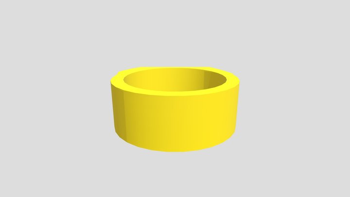 Ring Accessory for IP 3D Model