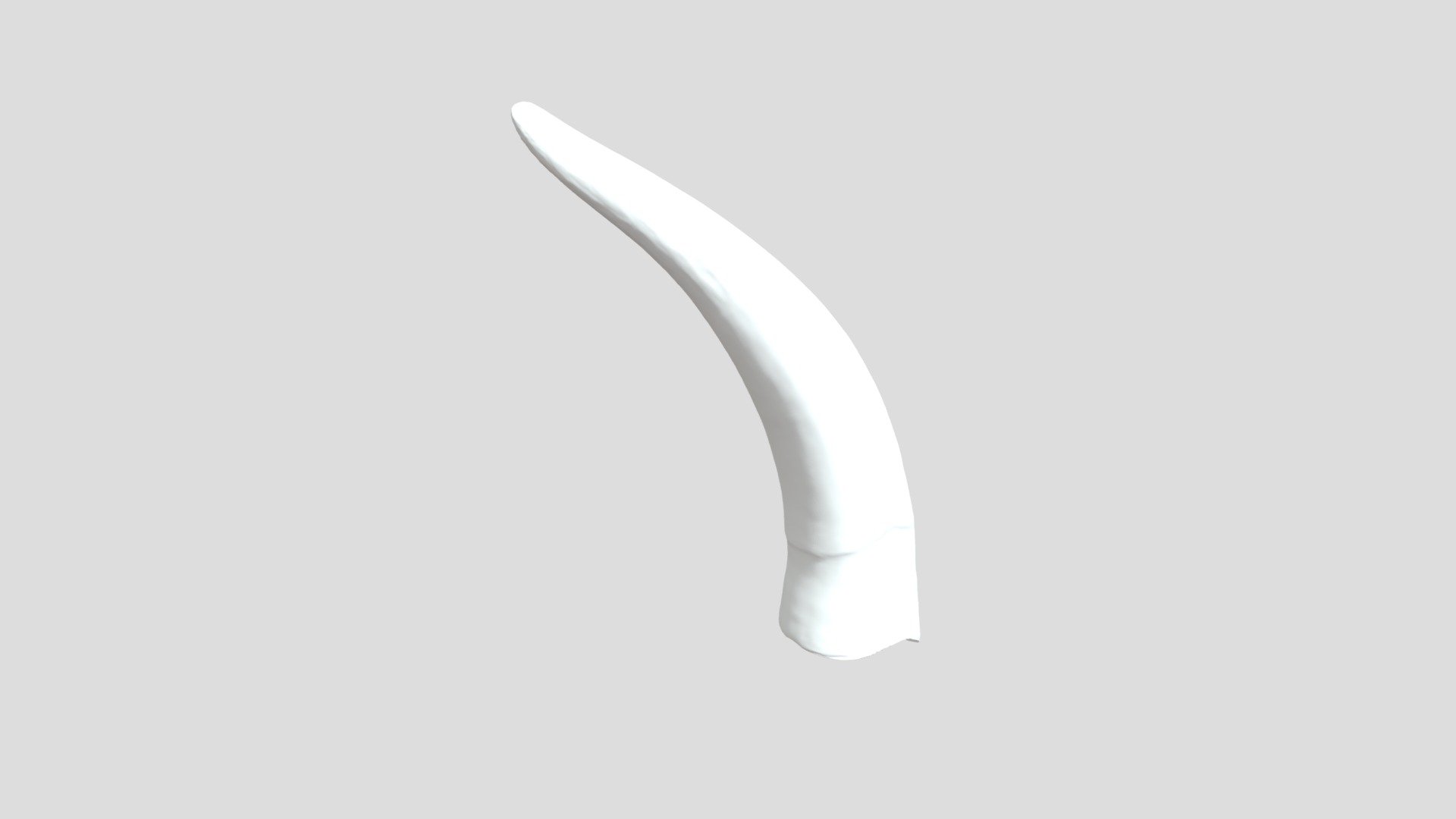 right horn