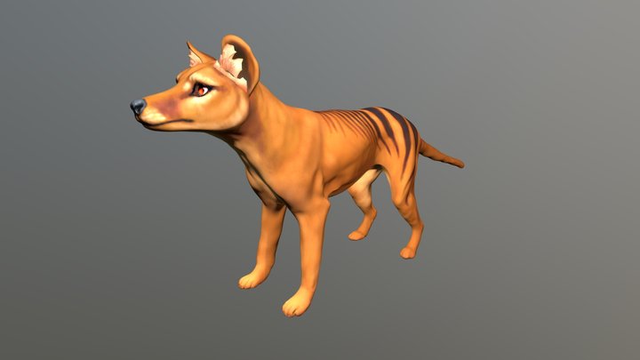 Thylacine Sculpt 3D Model