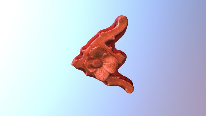 Fiore 3D Model