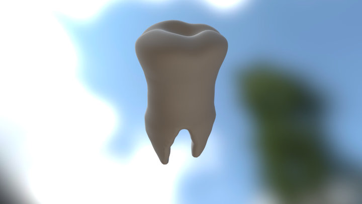 Teeth 3D Model
