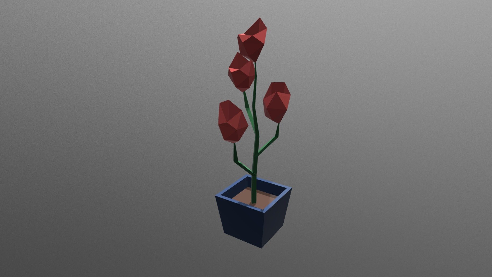 Potted Plant
