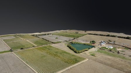 Curly Flat Vineyard 3D Model 3D Model