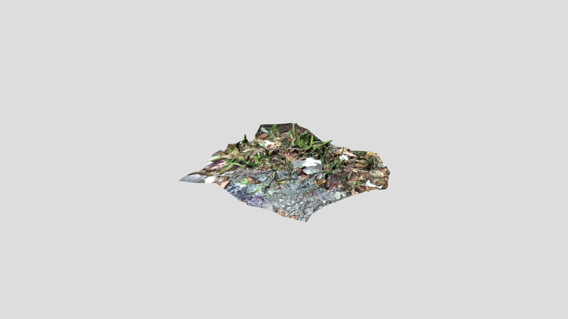 3d scanned ground (low poly)