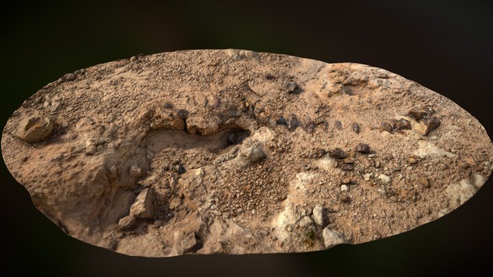 Photogrammetry of Brontosaurus Spine 3D Model