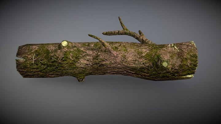 Mossy log 3D Model