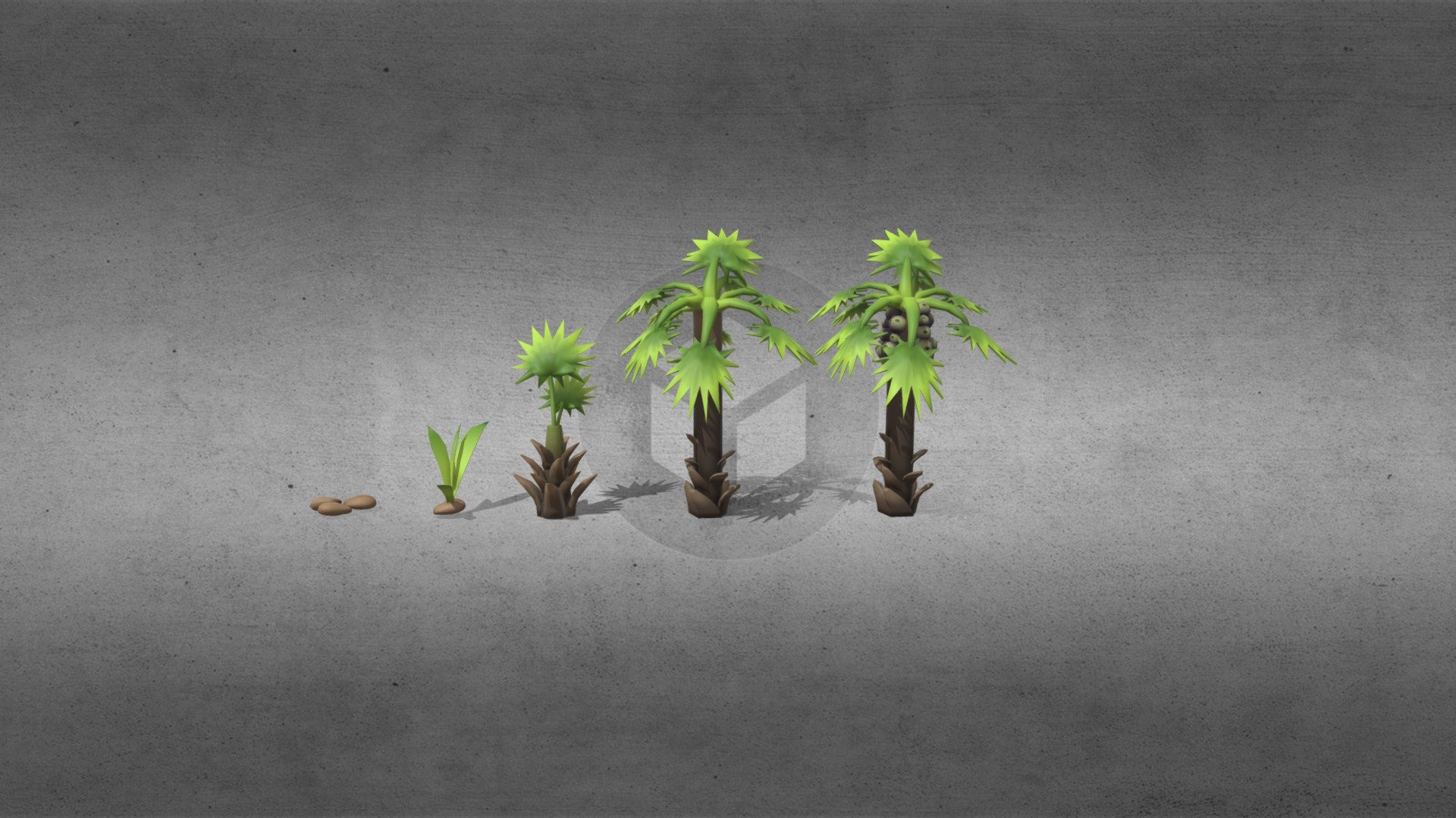 Palmyra Palm - 3D model by nningt05 [1a02b1a] - Sketchfab