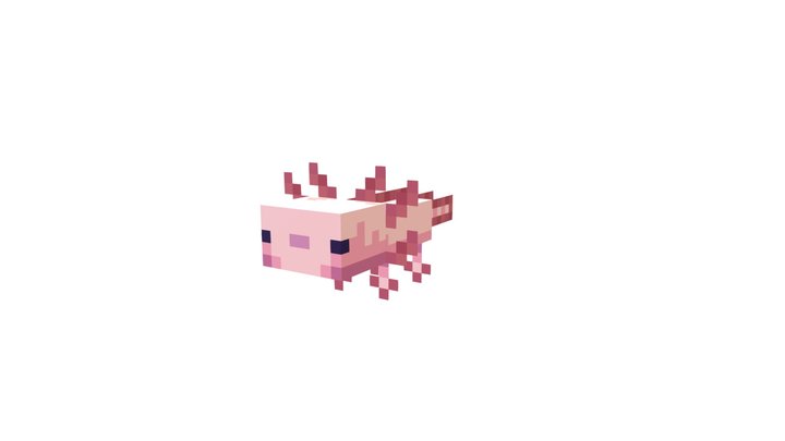 Axolotl 3D Model