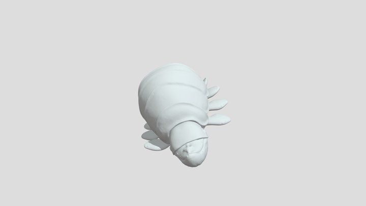 Anisca, my precious whale 3D Model