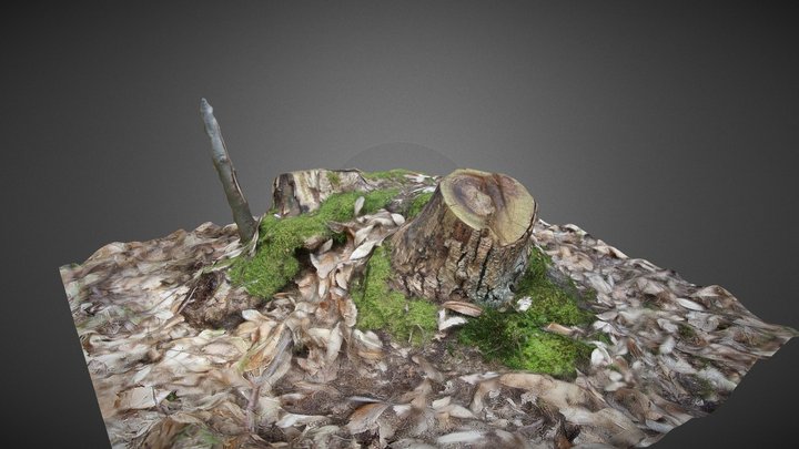 Mossy Stump 3D Model