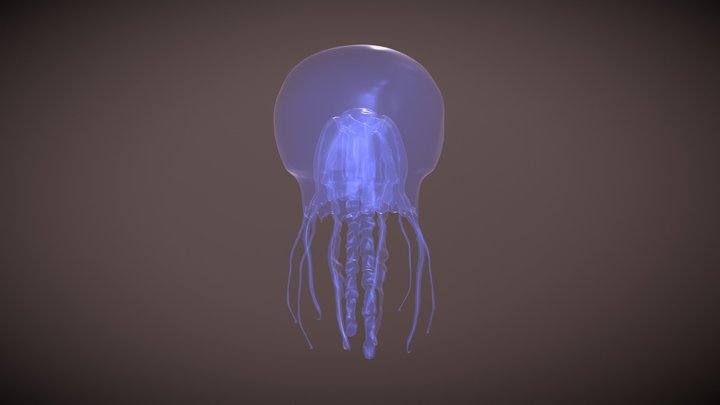 SculptJanuary 11: Marine 3D Model