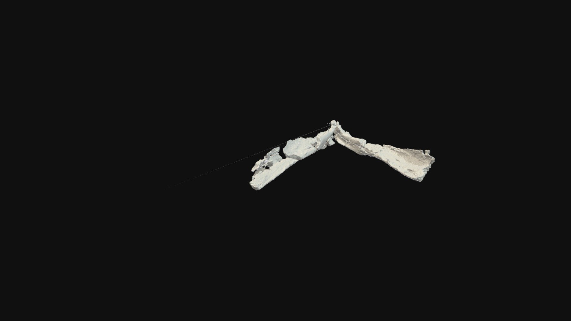 Splenial of Qikiqtania wakei