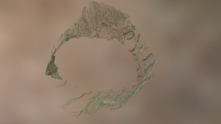 Stone Pine Slice 3D Model