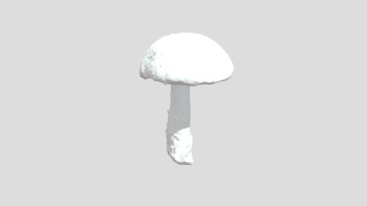 Amanita Muscaria 3D Model