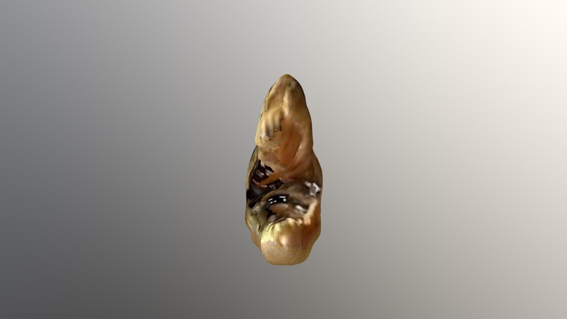 New Qlone