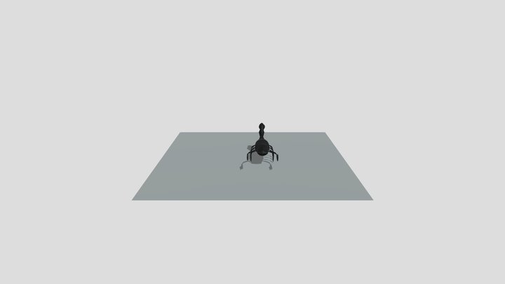 FINT 3D Model