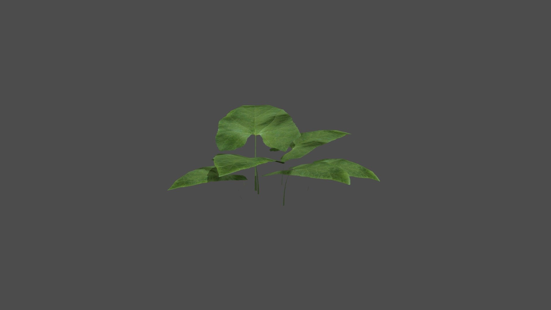 Ground leafs - 3D model by Dariesta [1a14870] - Sketchfab