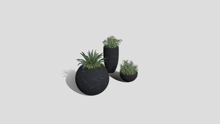 Elegant marble pots with lush plants