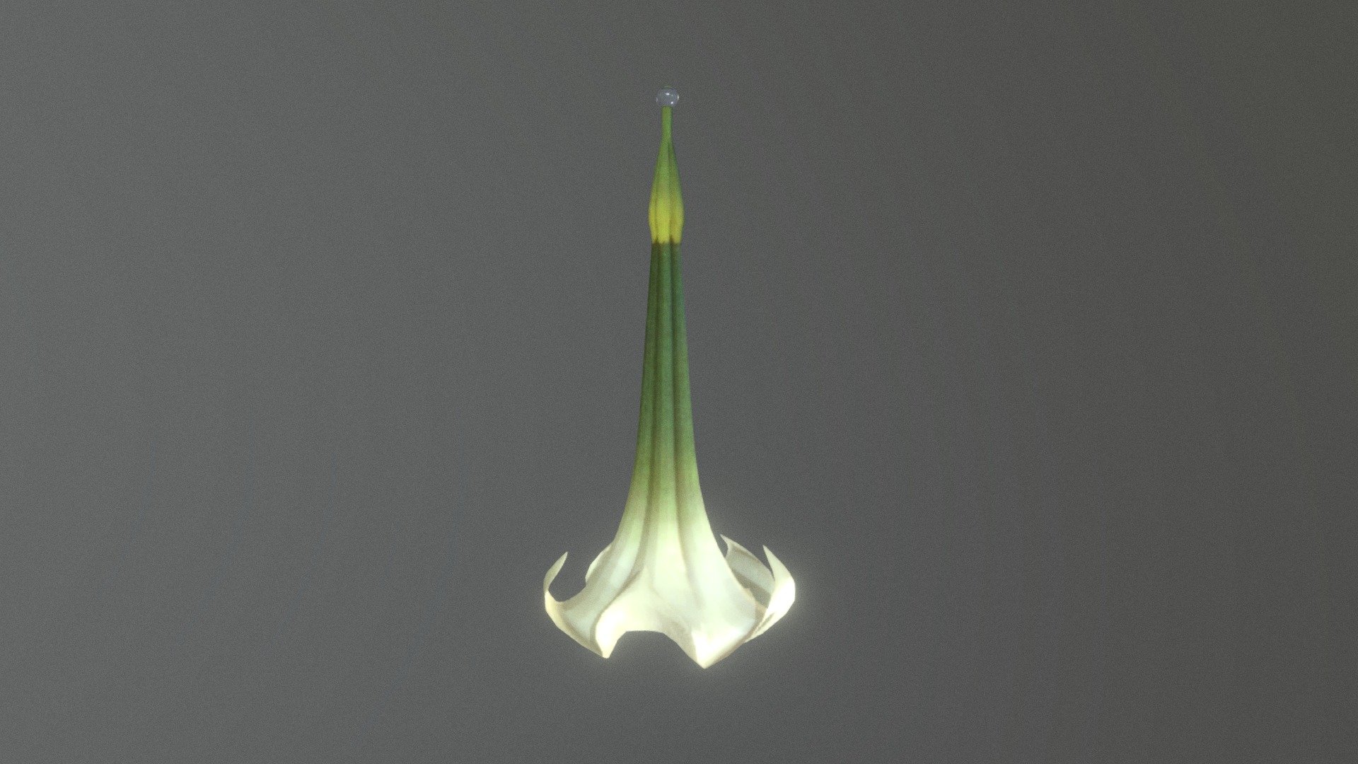 Trumpet Flower