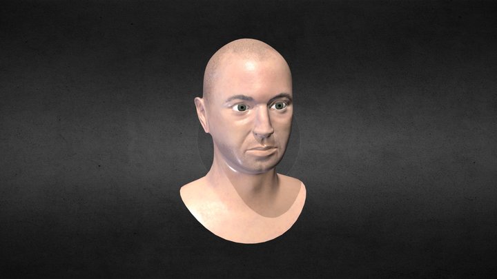 Head Likeness 3D Model