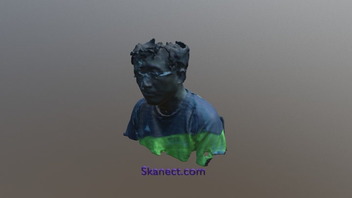 New Skanect Model 3D Model