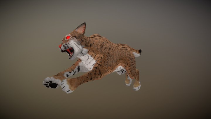 Bobcat Enemy "Parliament" Animations 3D Model