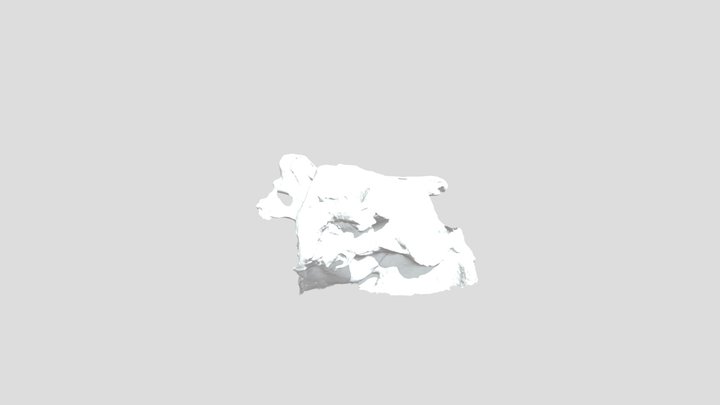 Model Upside Down 3D Model