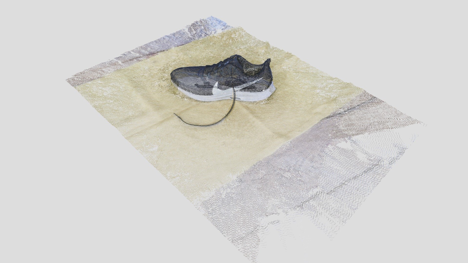 Running Shoe (Dense Cloud)