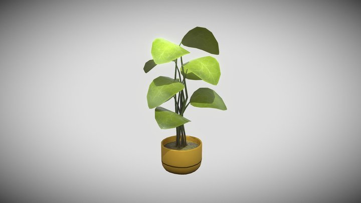 Poted Plant 3D Model