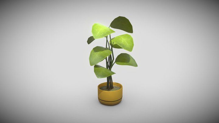 Poted Plant 3D Model