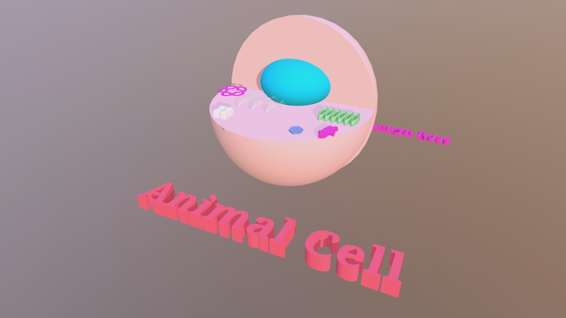 7th grade animal cell - 3D model by Dr. Eddie's Class [1a25f3a] - Sketchfab