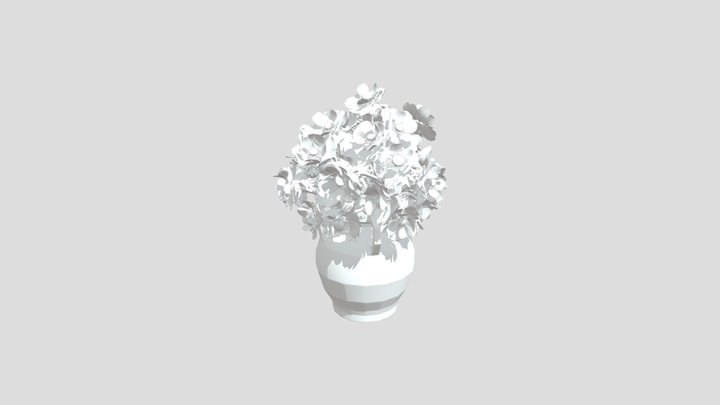 Anemones white 3D Model