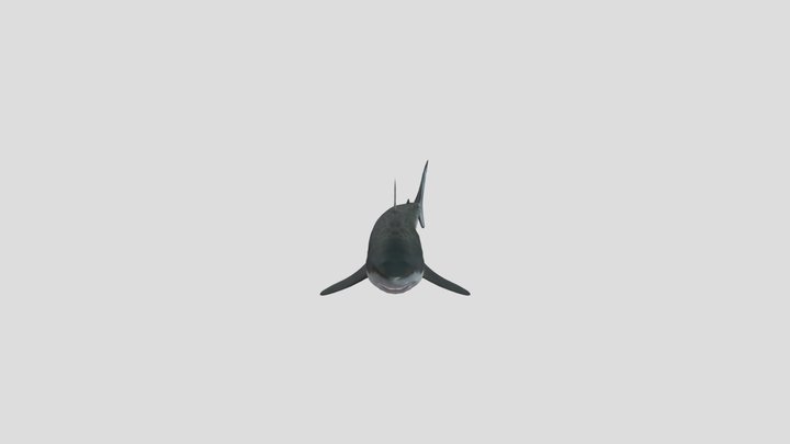 big shark
