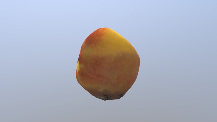 Test Peach 3D Model