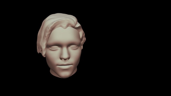 li 3D Model