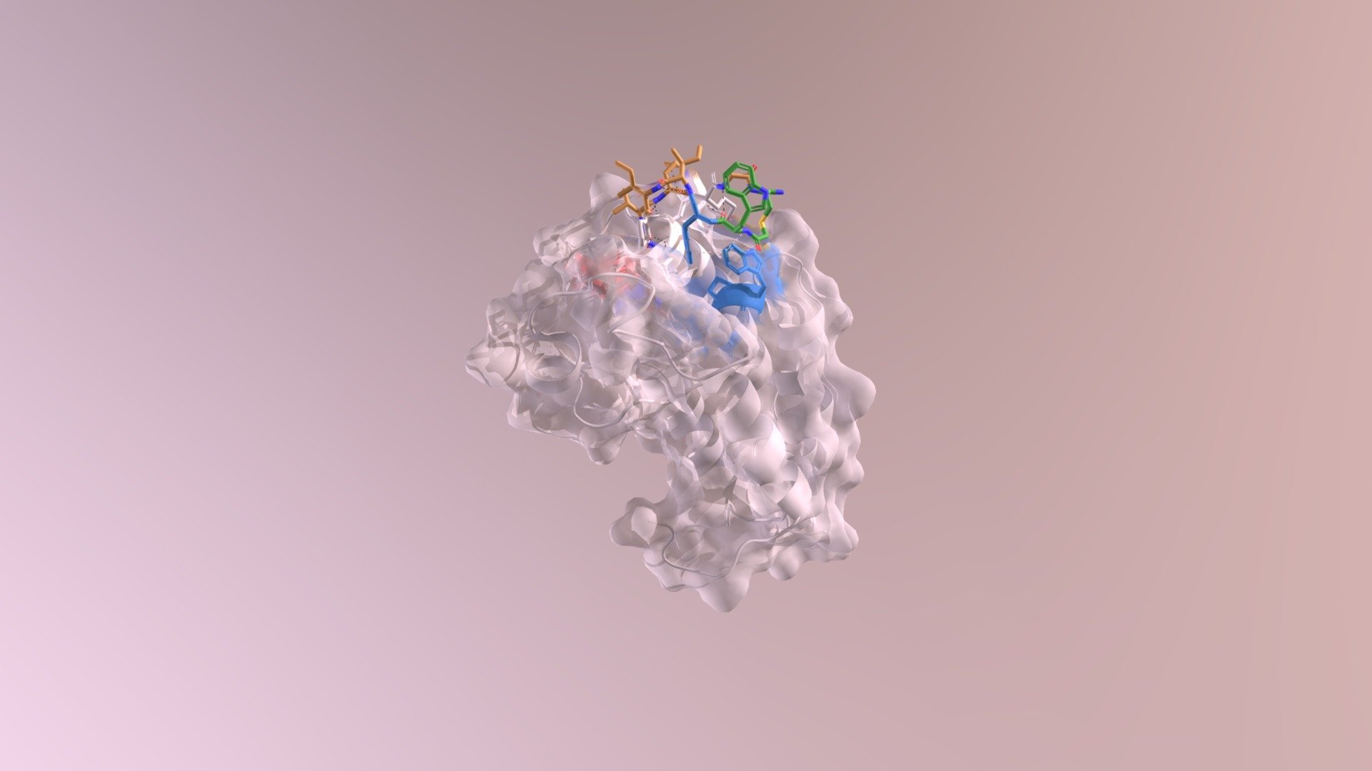 BRD3-BD1 and 3.1C - 3D model by chloe.biol244 (@biol244chloe) [1a313a7 ...